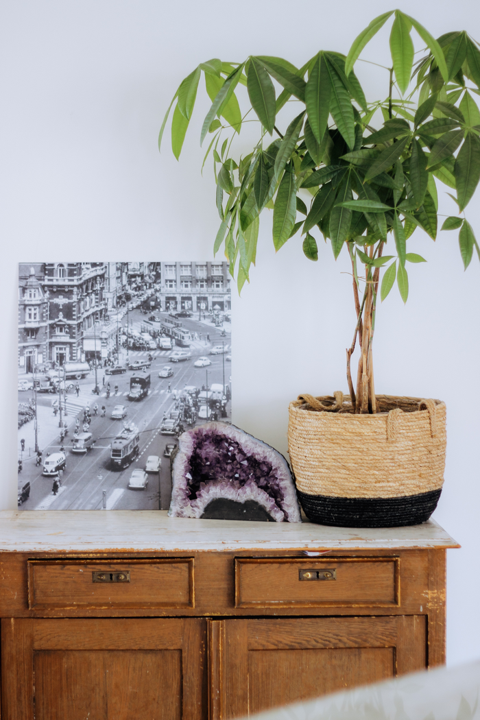 Fleur van de Water duin aan het woord