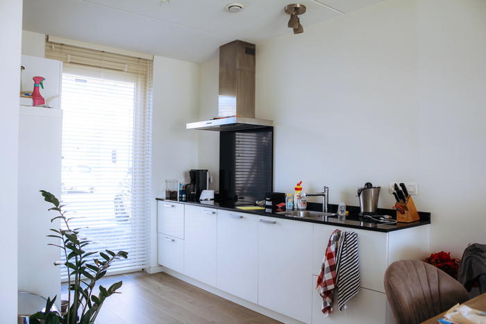 duin aan het woord jose 3