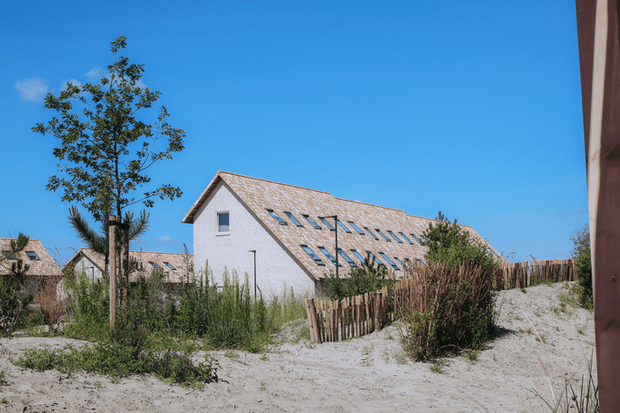 Dominique Leloux almere duin